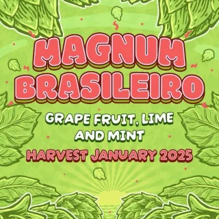 Lúpulo Magnum Brasileiro Start Hops pct 50g