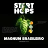 Lúpulo Magnum Brasileiro Start Hops pct 50g