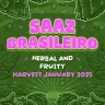 Lúpulo Saaz Brasileiro Start Hops pct 50g