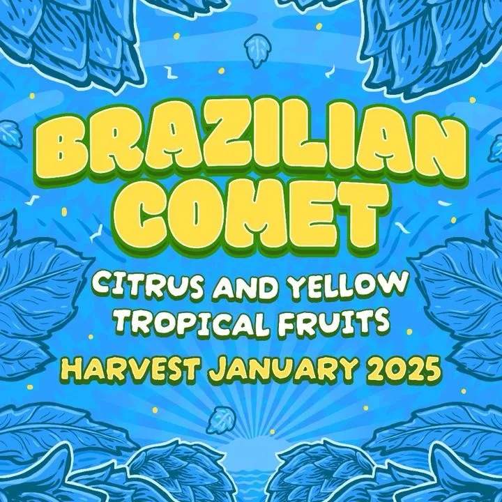 Lúpulo Brazilian Comet Start Hops pct 50g