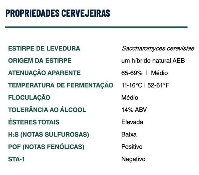 Levedura Fermo Brew Berry - AEB Brewing
