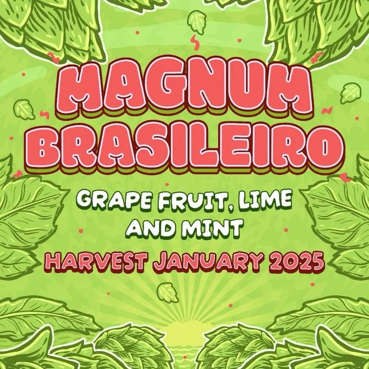 Lúpulo Magnum Brasileiro Start Hops pct 50g