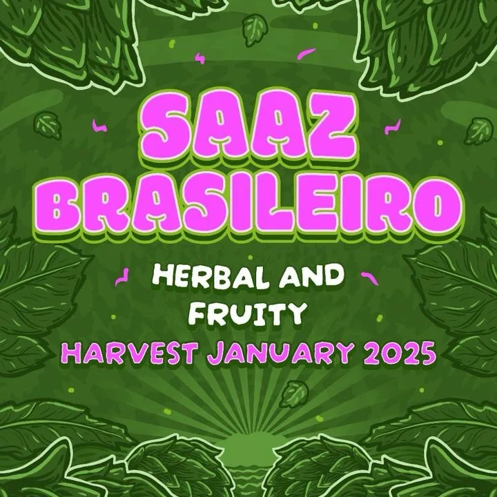 Lúpulo Saaz Brasileiro Start Hops pct 50g