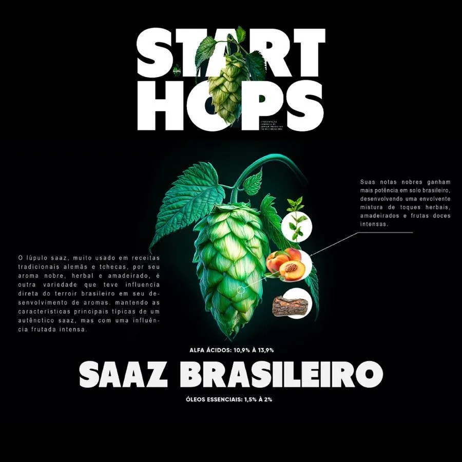 Lúpulo Saaz Brasileiro Start Hops pct 50g