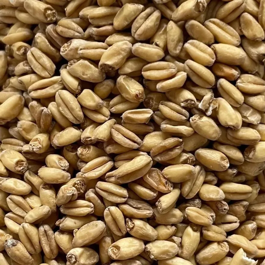 Malte Base Trigo Claro Nacional Agrária